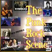 The Punk Rock Scene