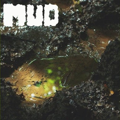 Mud