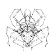 SpiderGod Sends Dreams