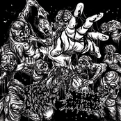 PYOGENIC CYSTCLOT / BRUCEXCAMPBELL