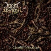 Descending (In​)​Human Flesh