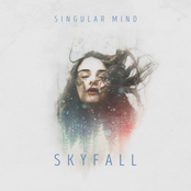 Skyfall - Single