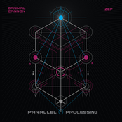 Parallel Processing
