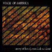 voice of america