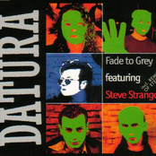 Fade To Grey