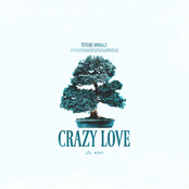 Crazy Love - Single