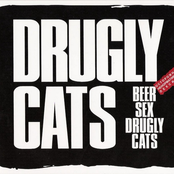 Beer, Sex, Drugly Cats