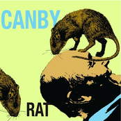 Rat by Canby
