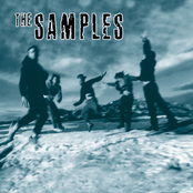 The Samples: The Samples