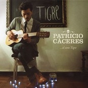 Tigre, el otro tigre