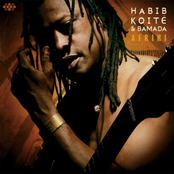 N'tesse by Habib Koité & Bamada