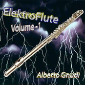 Elektroflute vol.1