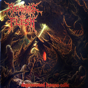 Cadaverous Pregnancy by Remnants Of Flesh