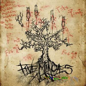 Интерпретация Закона