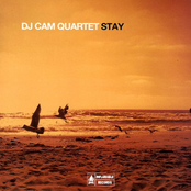 Funny (for Janet) by Dj Cam Quartet