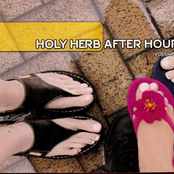 Holy Herb After Hour Vol. 1