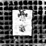 Heart Of Shemp (As Acute Obtuse)