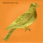 J Spaceman: Guitar Loops