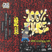 SHINE-GOLD/HEAL-PAIN