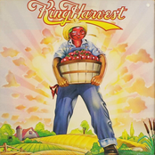 King Harvest