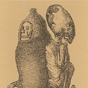 Enthralling Black Void