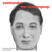 The Nincompoop
