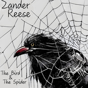 The Bird & The Spider