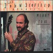 Some Nerve by John Scofield