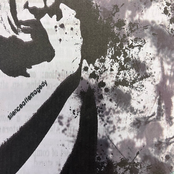 Silence After Tragedy