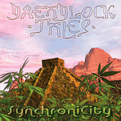 Synchronicity by Dreadlock Tales