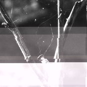 Apply Directly to the Eardrums