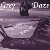 Grey Daze: Wake Me