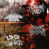 Carnivore Mind / Hemocromatosis Genital / Cacasonica / Psychotic Sufferance