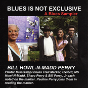Bill Howl-N-Madd Perry: Blues Is Not Exclusive (A Blues Sampler)