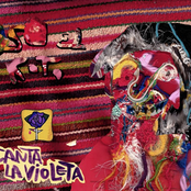 OSo canta la violeta