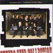 TUXEDO SEED COLLECTION