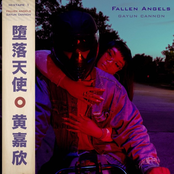 Fallen Angels