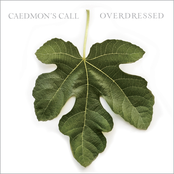 Share In The Blame by Caedmon's Call