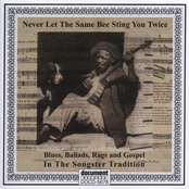 Never Let The Same Bee Sting You Twice