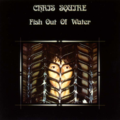 Fish Out Of Water