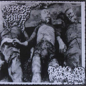 Corpse Knife / Dissolved