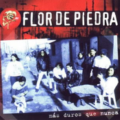 El Pibe Villero by Flor De Piedra