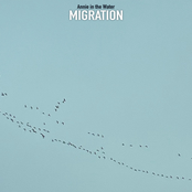 Annie in the Water: Migration