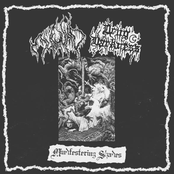 Mindfestering Shades