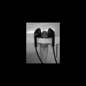 Tapes Aren't Everything