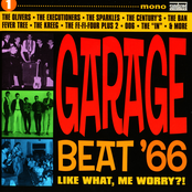 Garage Beat '66, Vol. 1: Like What, Me Worry?!