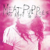 Meat Puppets: Too High To Die
