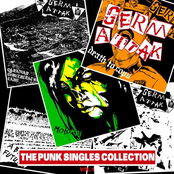 The Punk Singles Collection