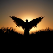 Where the Crow Flies