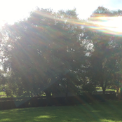 Untitled (Compilation)